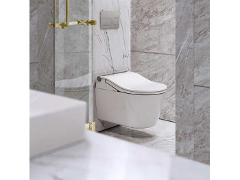 Toto Washlet RW-RP, Væg, fjernbetjening + aut. sæde og evt. også udskylning, selvrensende + E-water